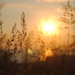 Czy do zmiany wystarczy dobra motywacja? Wnioski z książki “Atomowe nawyki” Jamesa Cleara