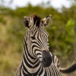 Czy do zmiany wystarczy dobra motywacja? Wnioski z książki “Atomowe nawyki” Jamesa Cleara